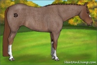 Horse Color:Red Roan 