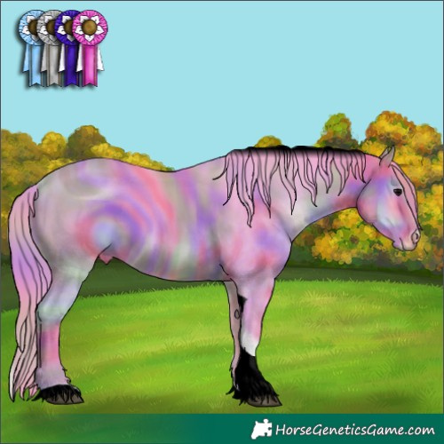 Horse Color:ERROR: UNKNOWN ANOMALY
