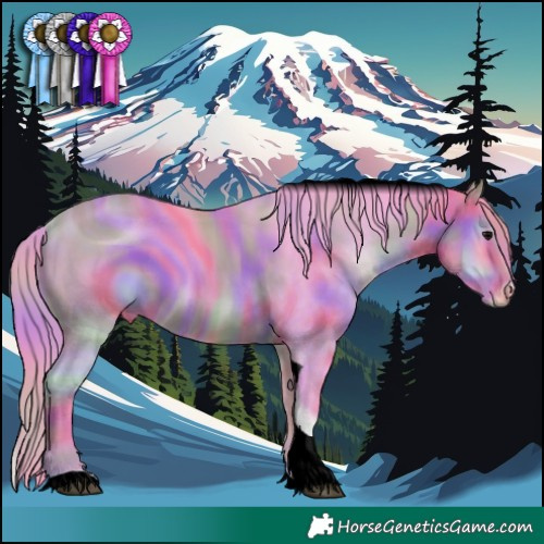 Horse Color:ERROR: UNKNOWN ANOMALY