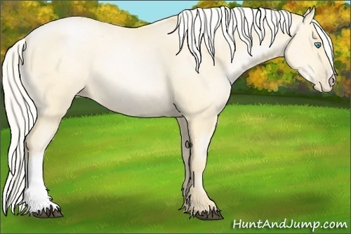 Horse Color:Silver Buckskin Pearl 