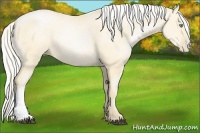 Horse Color:Silver Buckskin Pearl 