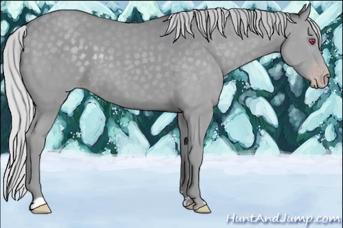 Horse Color:Silver Classic Champagne Chinchilla