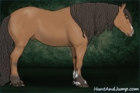 Horse Color:Buckskin Sabino