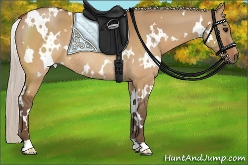 Horse Color:White Spotted Silver Brown Dun Rabicano 