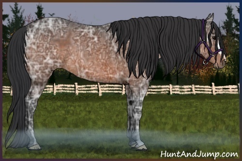 Horse Color:Bay Ice 