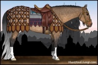 Horse Color:Brown Dun Rabicano 
