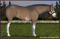 Horse Color:Brown Dun Sabino 