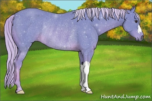 Horse Color:Watercolor Chestnut Rabicano 