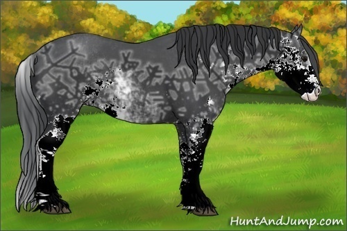 Horse Color:Black Ice Sabino Rabicano 