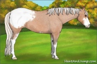 Horse Color:Silver Bay Roan Sabino Snowcap