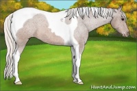 Horse Color:Silver Brown Tobiano Varnish 