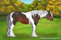 Horse Color:Brown Tobiano 
