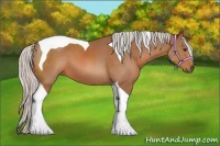 Horse Color:Silver Bay Tobiano