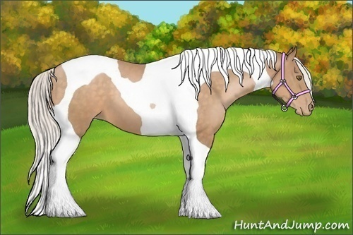 Horse Color:Silver Bay Pearl Tobiano
