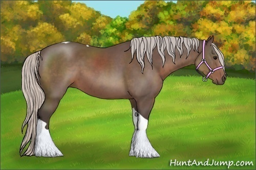 Horse Color:Silver Black Tobiano 