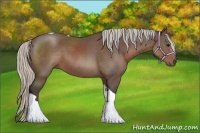 Horse Color:Silver Black Tobiano 