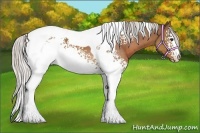 Horse Color:White Spotted Silver Bay Tobiano