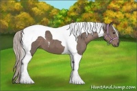 Horse Color:Silver Black Tobiano 