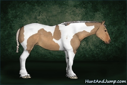 Horse Color:Silver Brown Dun Tobiano 