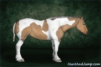 Horse Color:Silver Brown Dun Tobiano