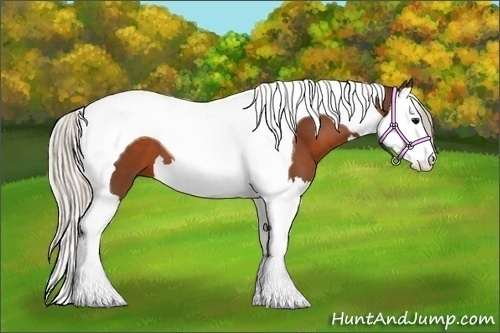 Horse Color:Silver Brown Splash Tobiano 