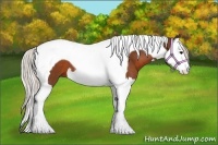 Horse Color:Silver Brown Splash Tobiano 