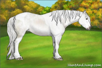 Horse Color:Gray Silver Brown Sabino Tobiano