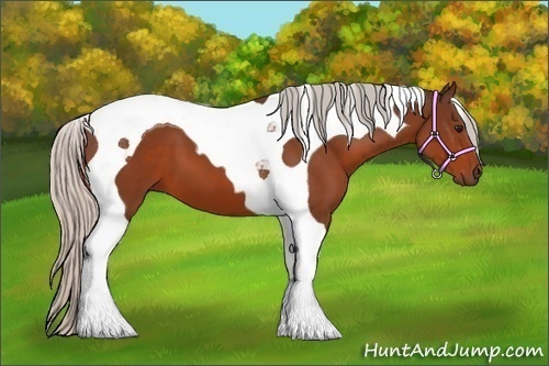 Horse Color:Silver Bay Tobiano 
