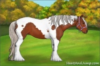 Horse Color:Silver Bay Tobiano