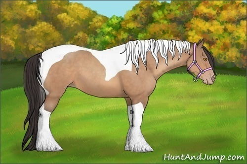 Horse Color:Amber Champagne Tobiano