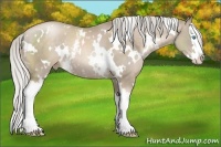 Horse Color:White Spotted Chocolate Palomino Pearl Splash