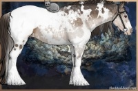 Horse Color:White Spotted Liver Chestnut Sabino Varnish 