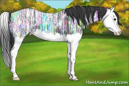 Horse Color:Black Ice Splash 