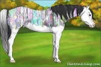 Horse Color:Black Ice Splash 