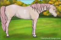 Horse Color:Watercolor Bay Pearl 