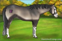 Horse Color:Blue Onyx Splash