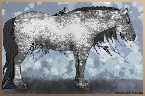 Horse Color:White Spotted Black Ice Sabino 