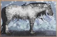 Horse Color:White Spotted Black Ice Sabino 