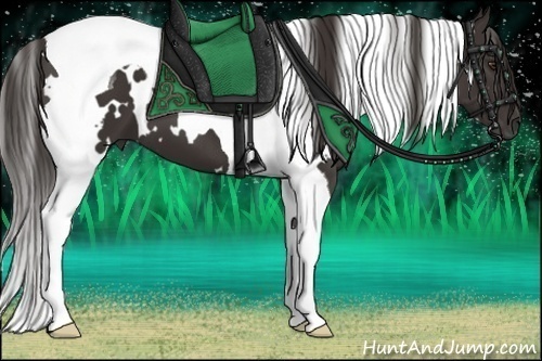 Horse Color:White Spotted Liver Chestnut Tobiano 