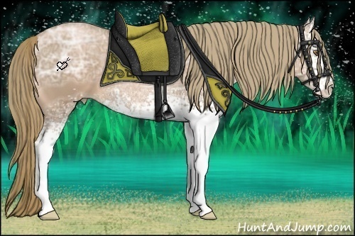 Horse Color:White Spotted Liver Chestnut Ice Pearl Sabino 