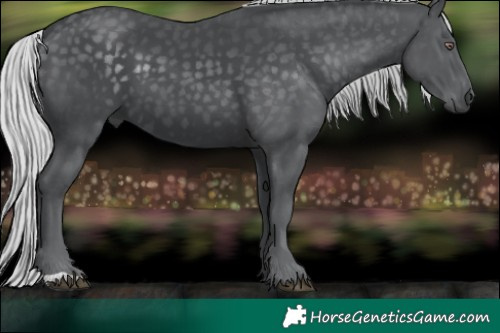 Horse Color:Silver Black Chinchilla
