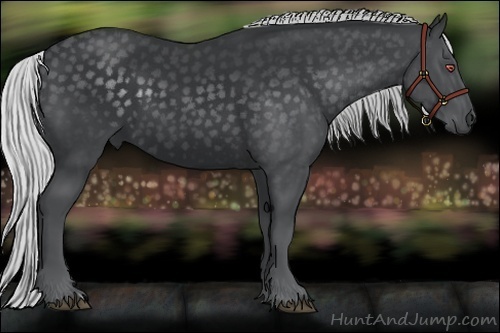 Horse Color:Silver Black Chinchilla 