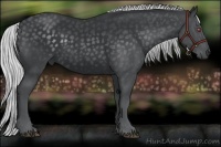 Horse Color:Silver Black Chinchilla