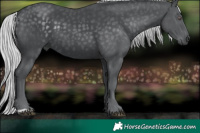 Horse Color:Silver Black Chinchilla 