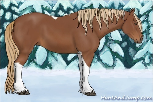 Horse Color:Chestnut Tobiano 