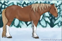 Horse Color:Chestnut Tobiano