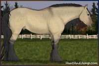 Horse Color:Buckskin Dun Brindle