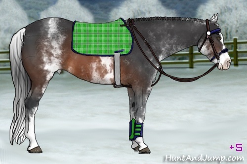 Horse Color:White Spotted Brown Splash 