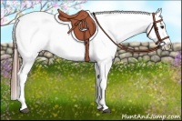 Horse Color:White Spotted Bay Frame Appaloosa 