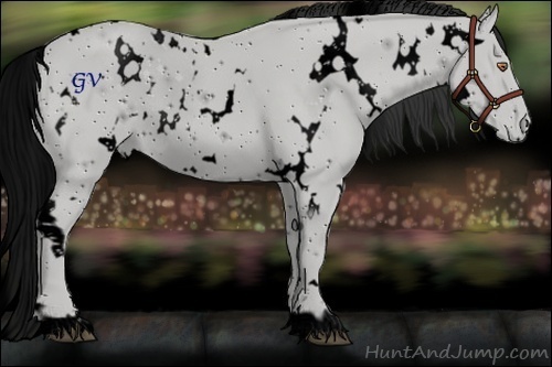 Horse Color:ERROR: UNKNOWN ANOMALY